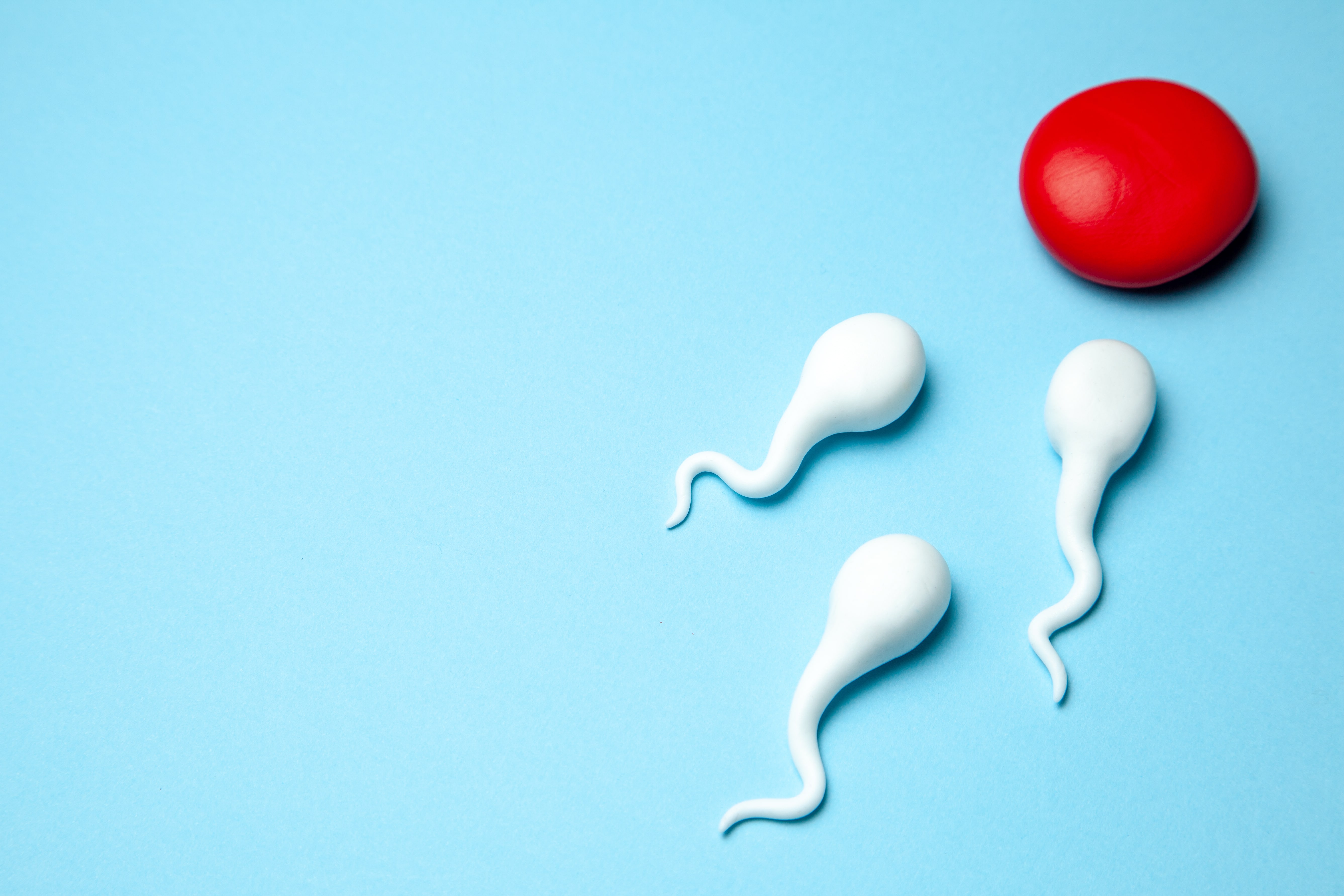 How to improve sperm health Your Fertility photo image