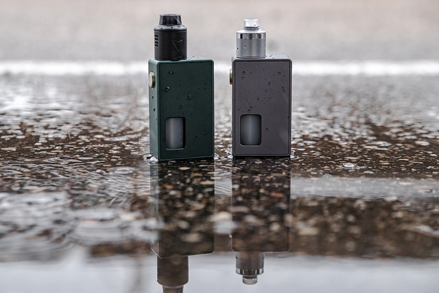 Two vapes on the wet ground