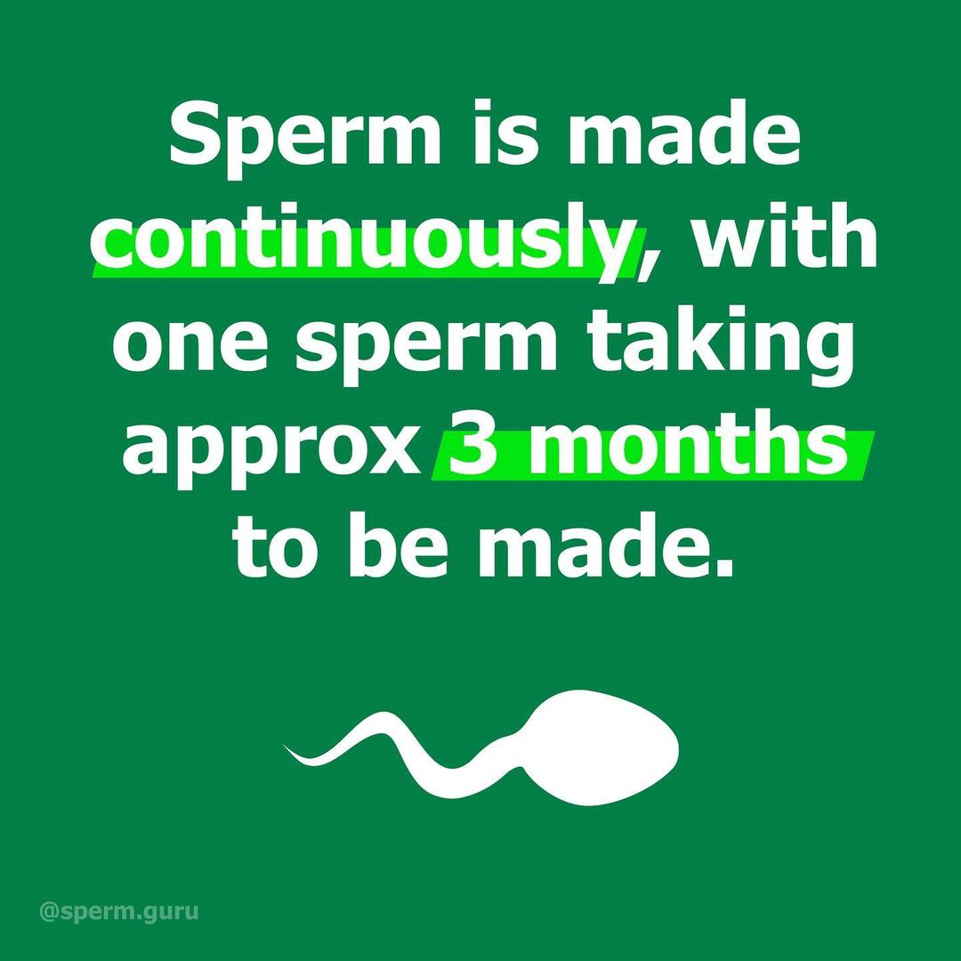 Sperm health facts 1