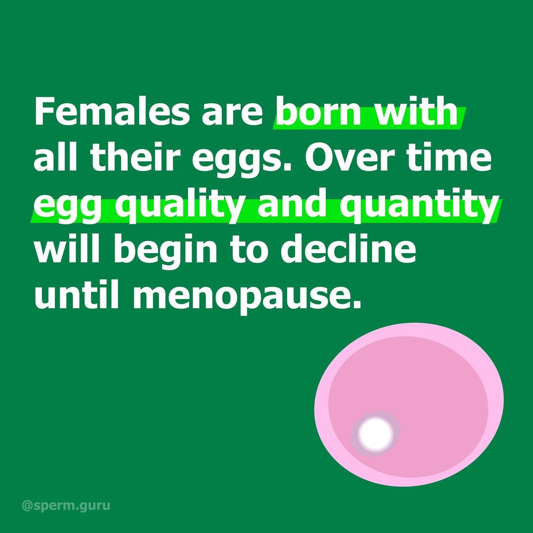 Sperm health facts 2